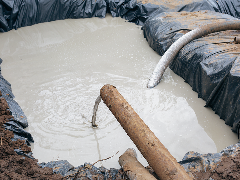 Produtos Biodegradáveis